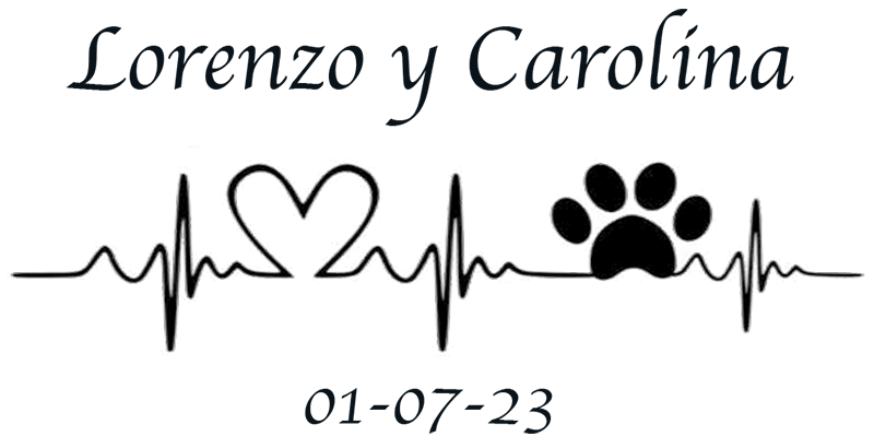 Boda de Lorenzo y Carolina